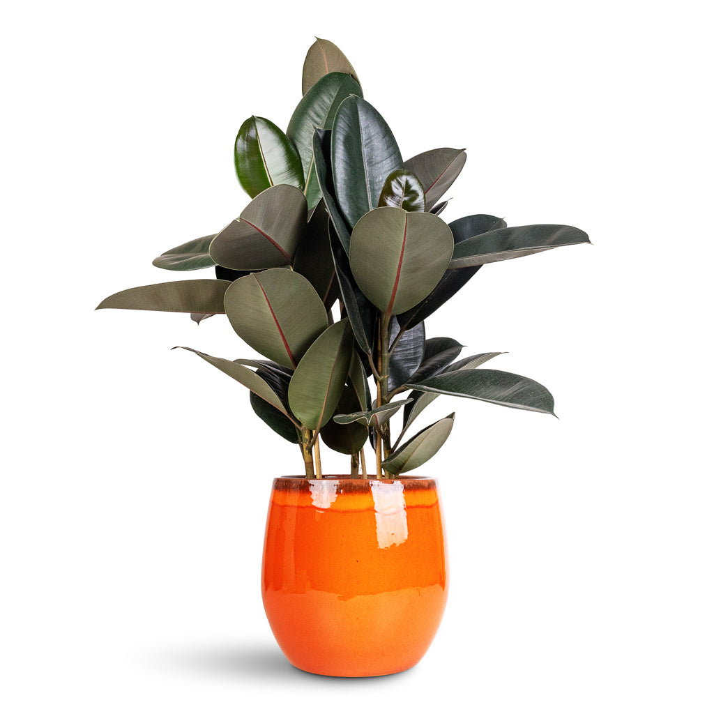 Renato Plant Pot