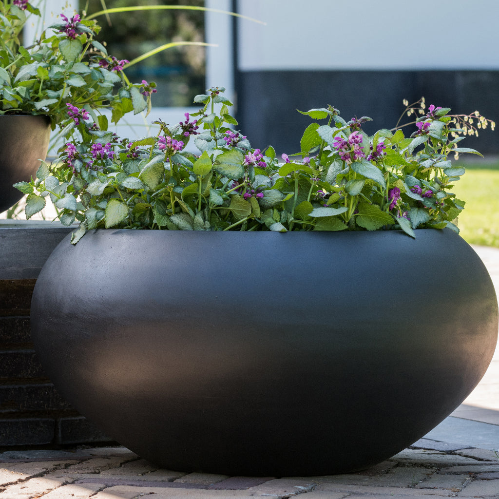 Natural Bowl Planter