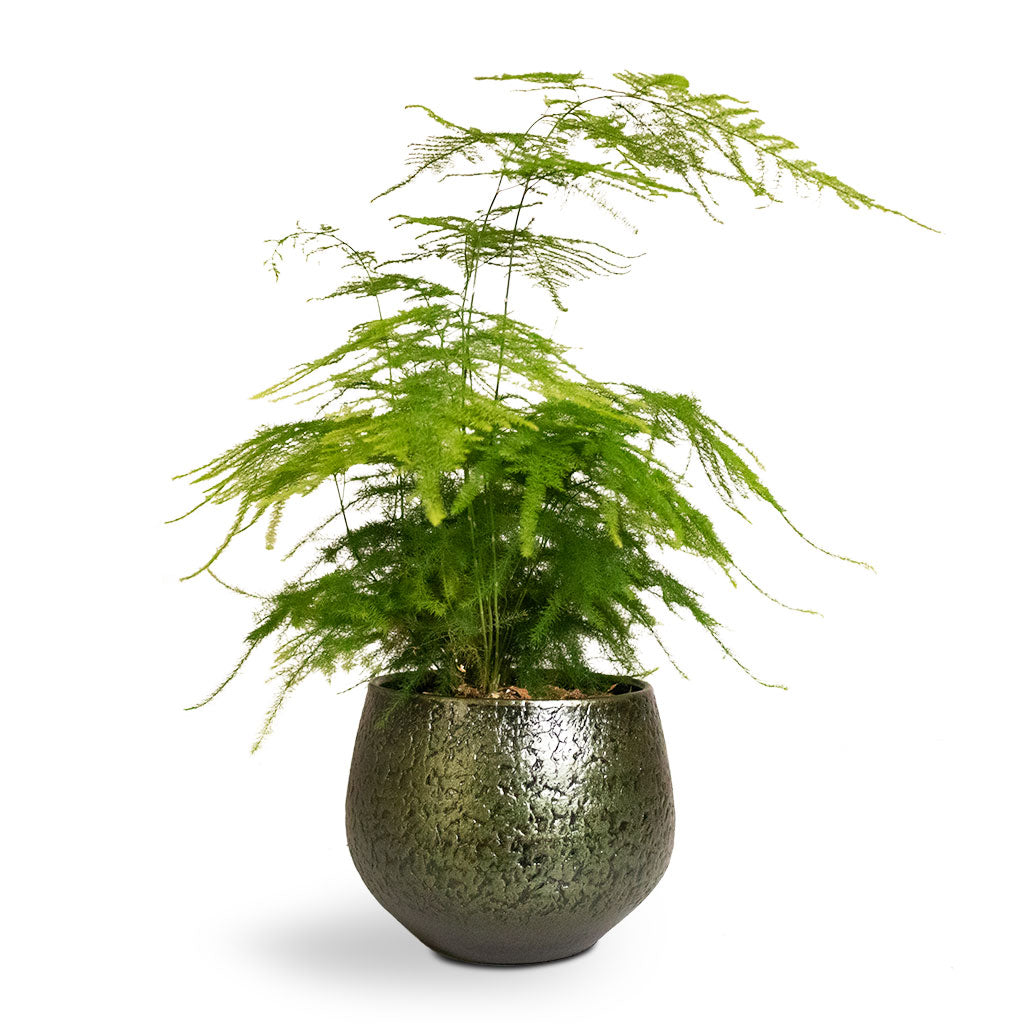 Plant Pot - Velvet Green