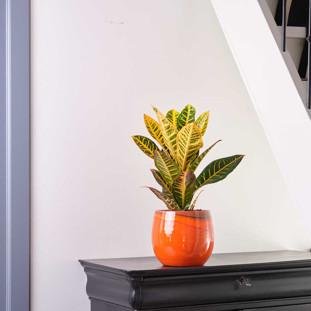 Renato Plant Pot