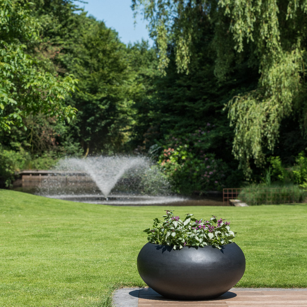 Natural Bowl Planter