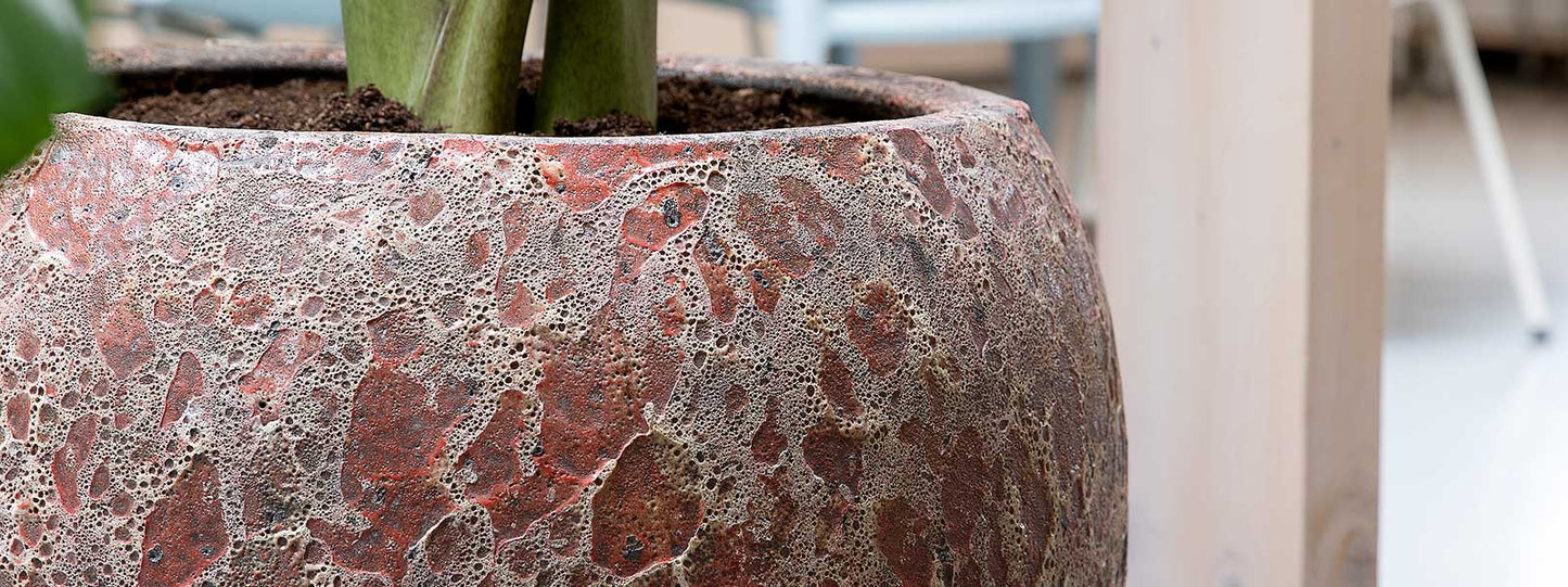Lava Oval Plant Bowl