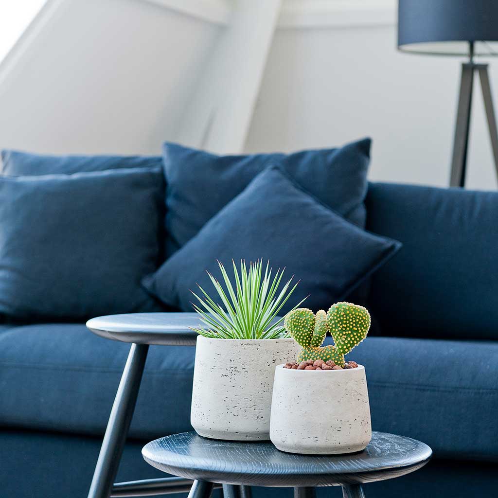Boucher Plant Pot