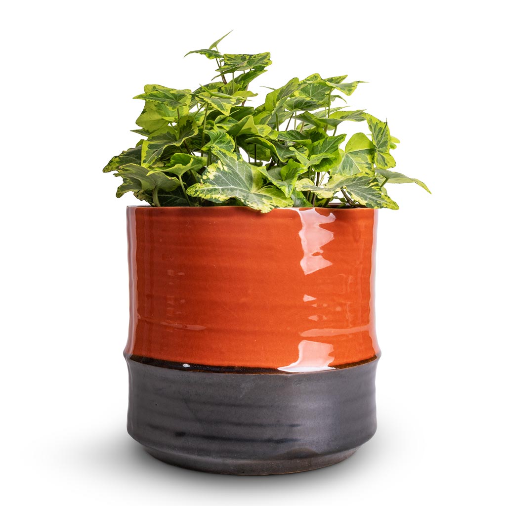 Plant Pot - Coral