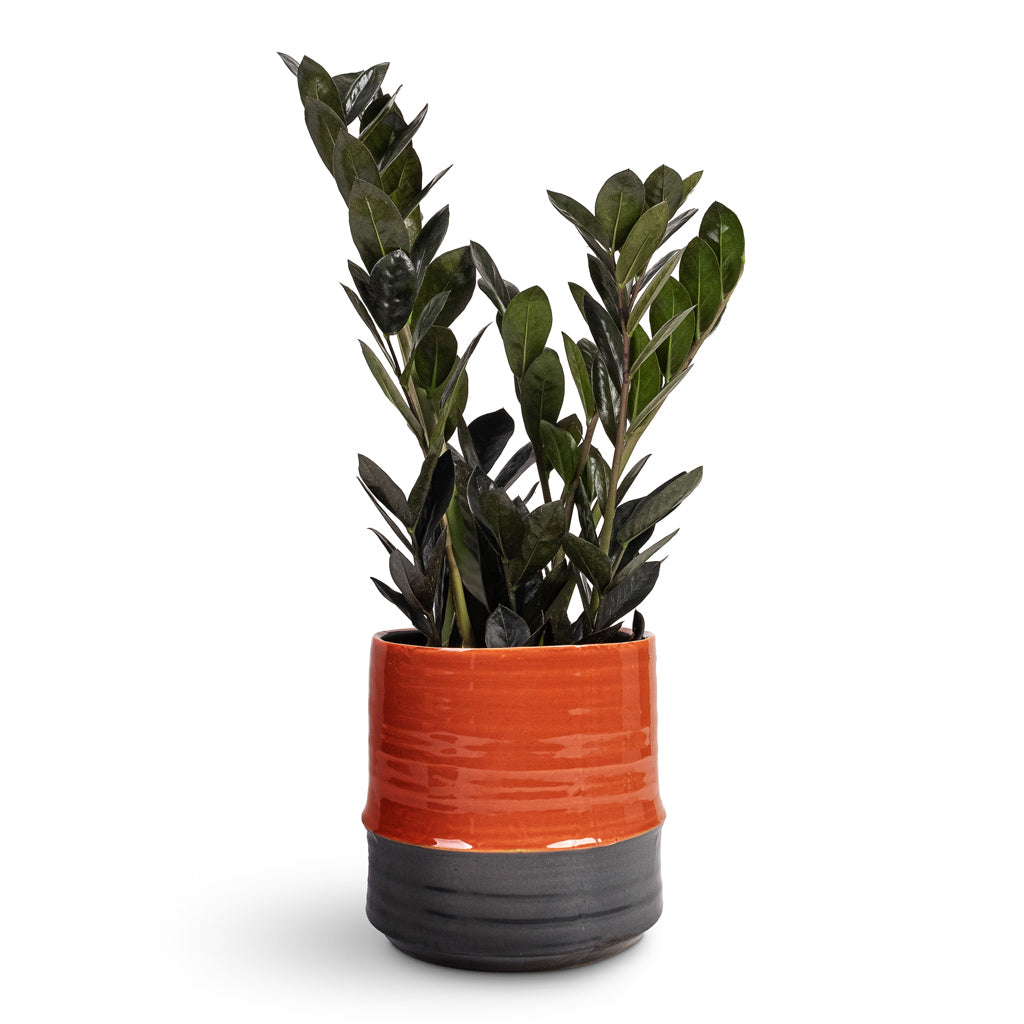 Plant Pot - Coral