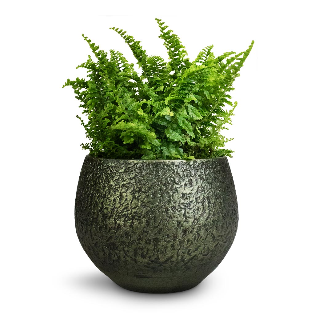 Plant Pot - Velvet Green