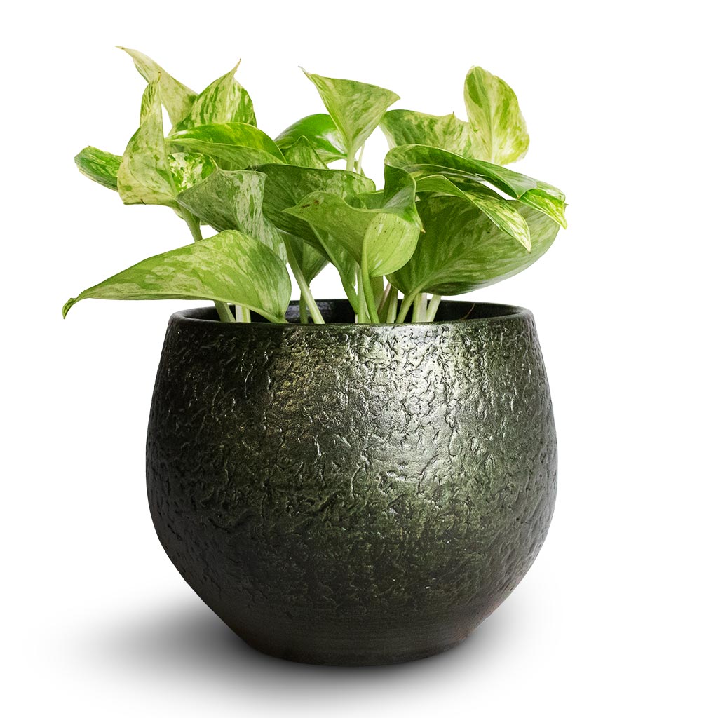 Plant Pot - Velvet Green