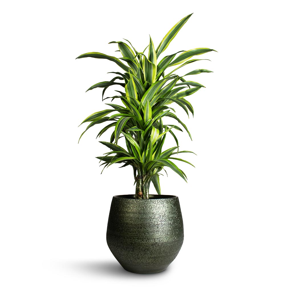 Plant Pot - Velvet Green