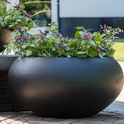 Natural Bowl Planter